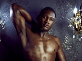 AxelWolf camshow livejasmin.com jasminlive