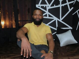 luiska lj webcam hd